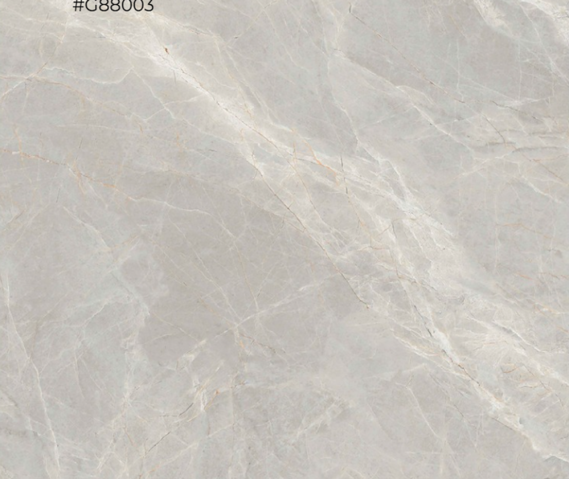 ALICANTE LIGHT GREY-G88003 - 800 X 800 MM