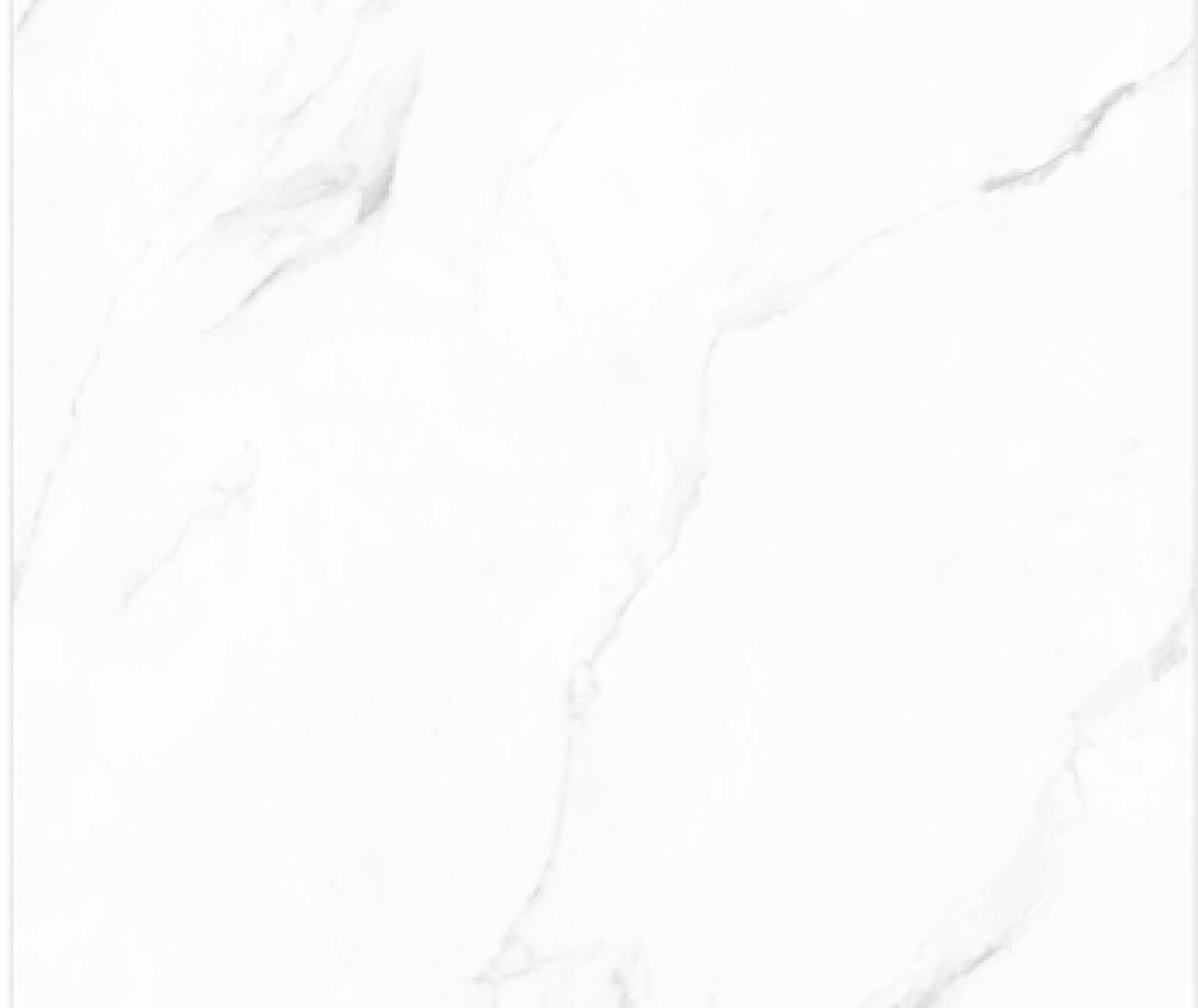 GẠCH ẤN ĐỘ 800X800 PLANTA STATURIO M88001