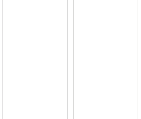 crystal-white-g62036-600-x-1200-mm