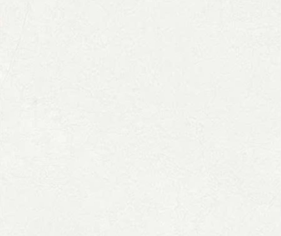 divina-white-g10110016-1000-x-1000-mm
