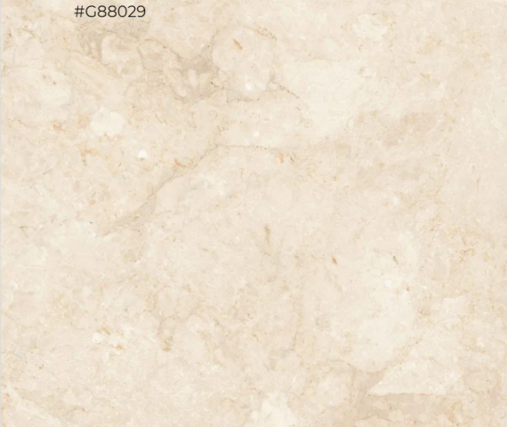 segate-beige-g88029-800-x-800-mm